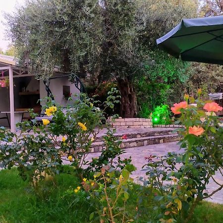 Sivota Apartments Parthenia 외부 사진