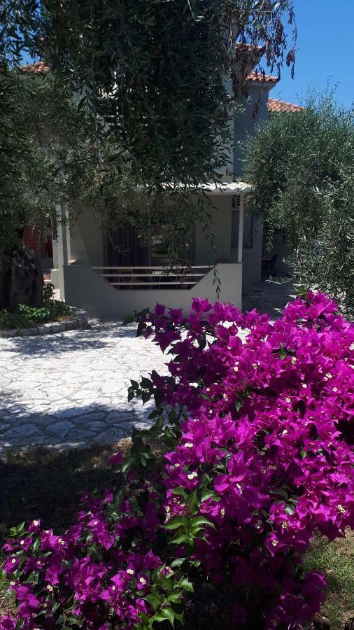 Sivota Apartments Parthenia 외부 사진